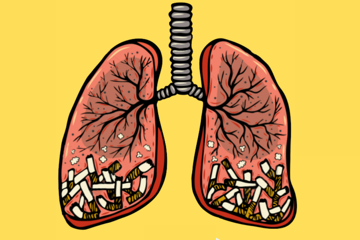 lung disease symptoms, respiratory disease treatment, chronic lung disease, best supplements for lung health, breathing problems causes, COPD natural treatment, asthma vs COPD, how to strengthen lungs naturally, pulmonary disease symptoms, respiratory system diseases, shortness of breath causes, chronic bronchitis treatment, lung detox supplements, best herbs for lung cleansing, what is pulmonary fibrosis, early signs of lung disease, natural remedies for lung disease, difficulty breathing at night, exercises to improve lung function, is shortness of breath a heart or lung issue,