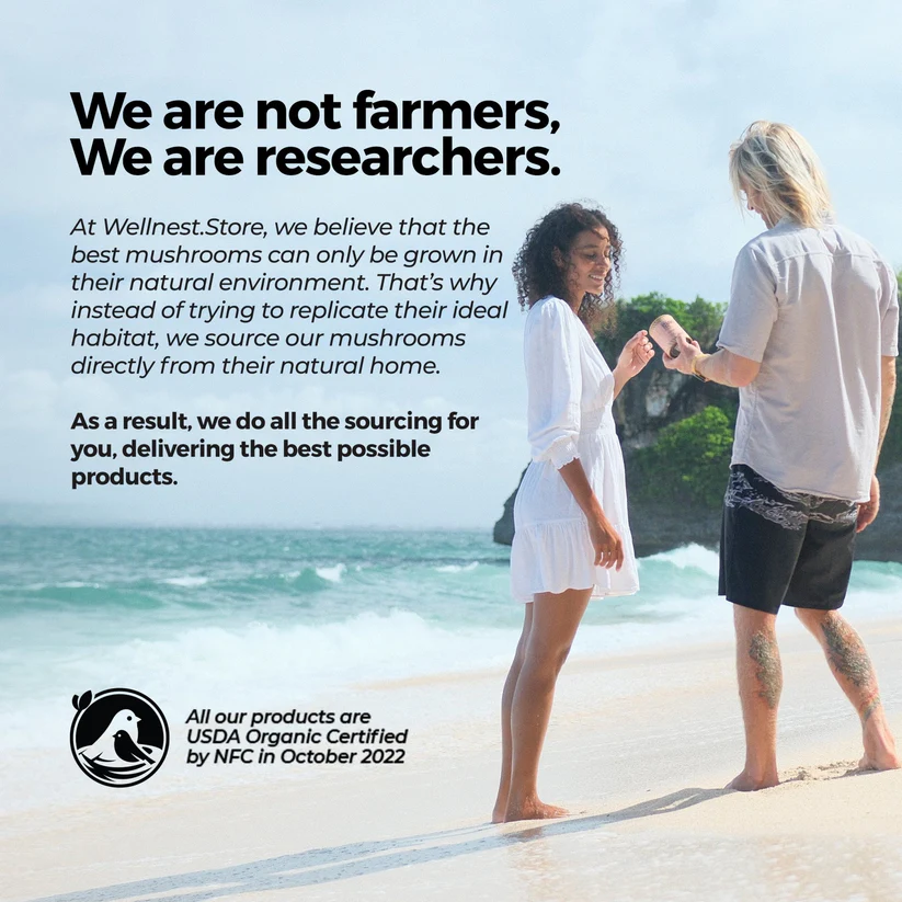 Mushroom, Organic Mushroom, Mushroom Packaging, Organic Lions Mane Mushroom, Organic Turkey Tail Mushroom, Organic Reishi Mushroom, Organic Chaga Mushroom