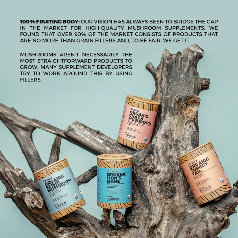 organic-chaga-mushroom-151006