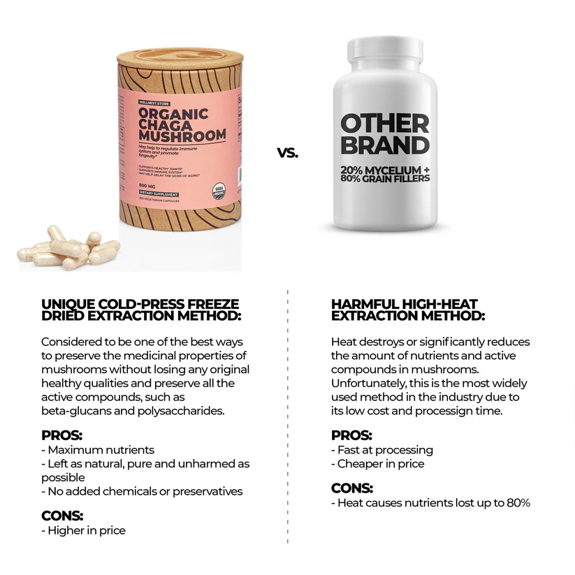 organic-chaga-mushroom-353451