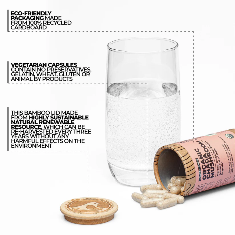 organic-chaga-mushroom-871050