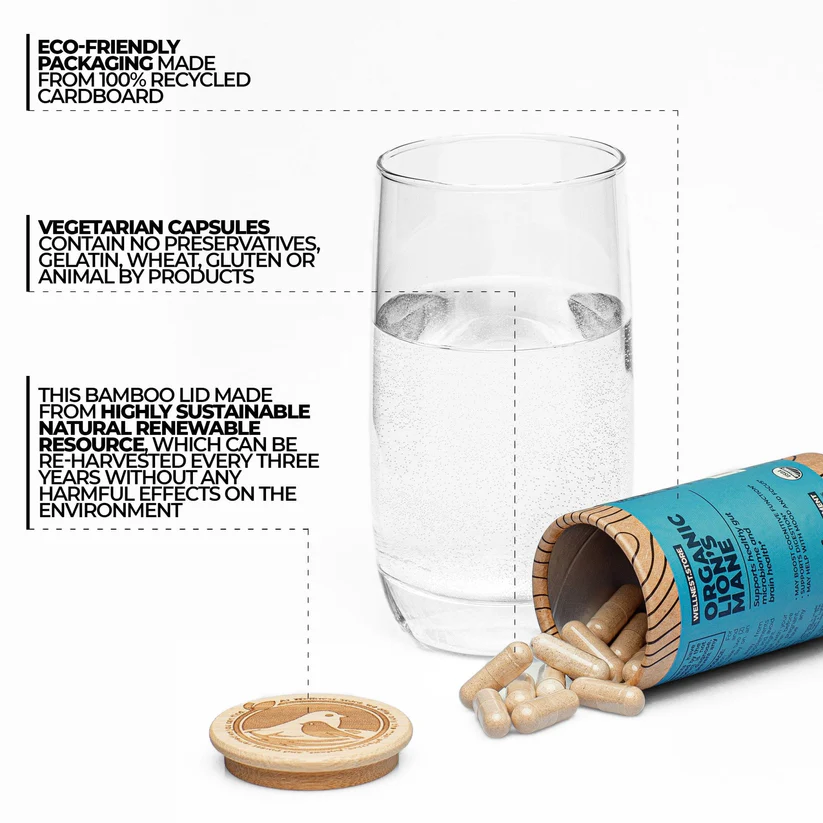 Mushroom, Organic Mushroom, Mushroom Packaging, Organic Lions Mane Mushroom, Organic Turkey Tail Mushroom, Organic Reishi Mushroom, Organic Chaga Mushroom