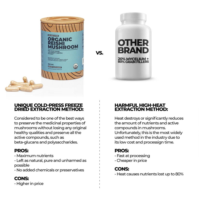 organic-reishi-mushroom-212865